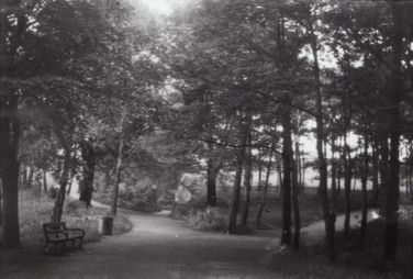 M79 One of five views of paths, thought to be in Graves park