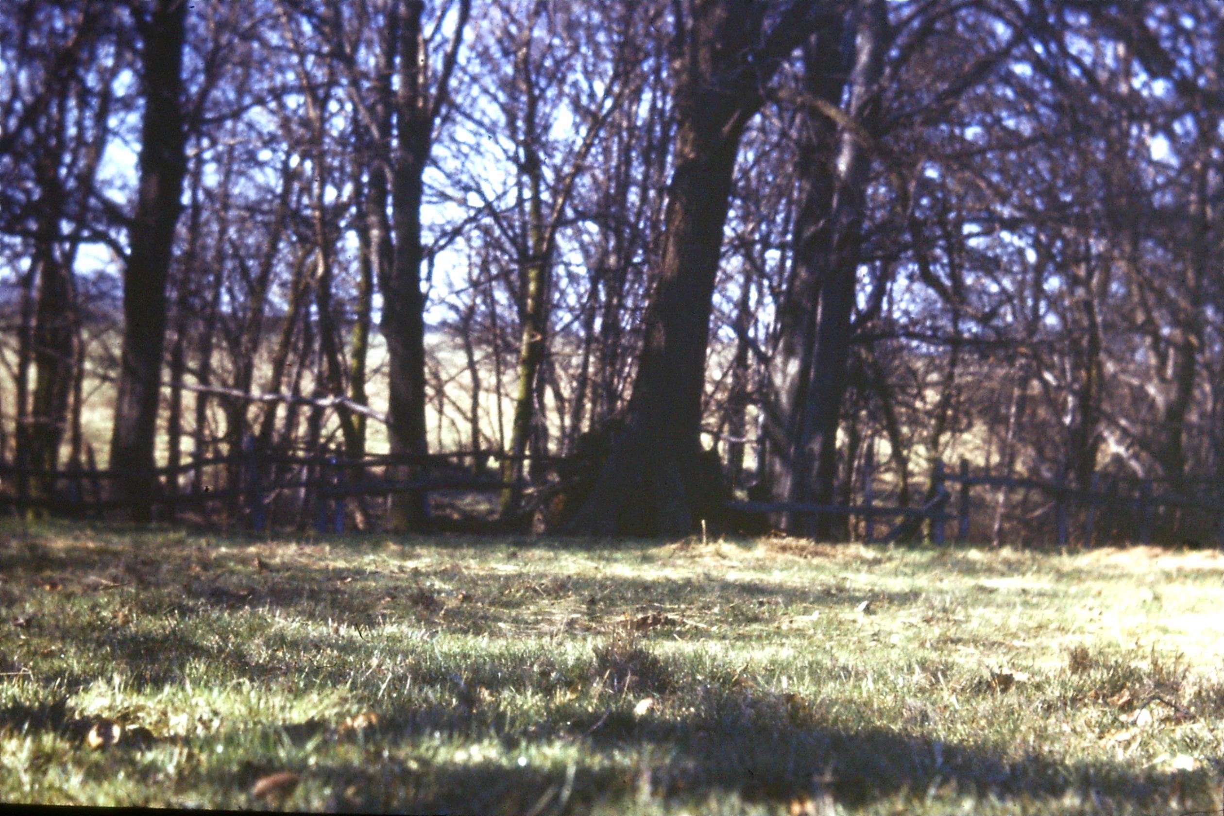 N16