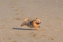 image00052