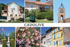 13 - CADOLIVE