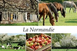 NORMANDIE (LA)