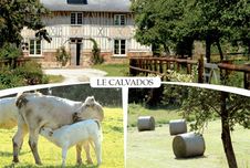 14 - LE CALVADOS