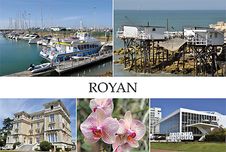17 - ROYAN