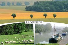 21 - LA CÔTE D'OR