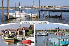 33 - BASSIN D'ARCACHON
