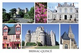 BRISSAC-QUINCE - 49