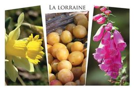 LORRAINE