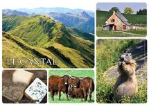 15 - LE CANTAL