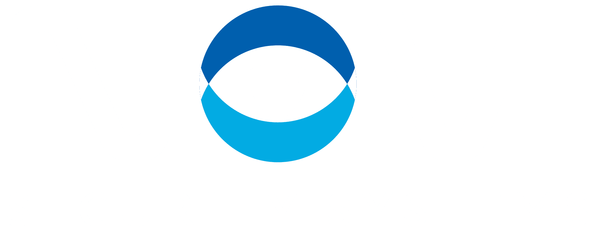 Novi Security systems