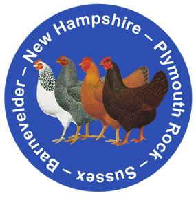 Logo_nyklubb_blå_hvit