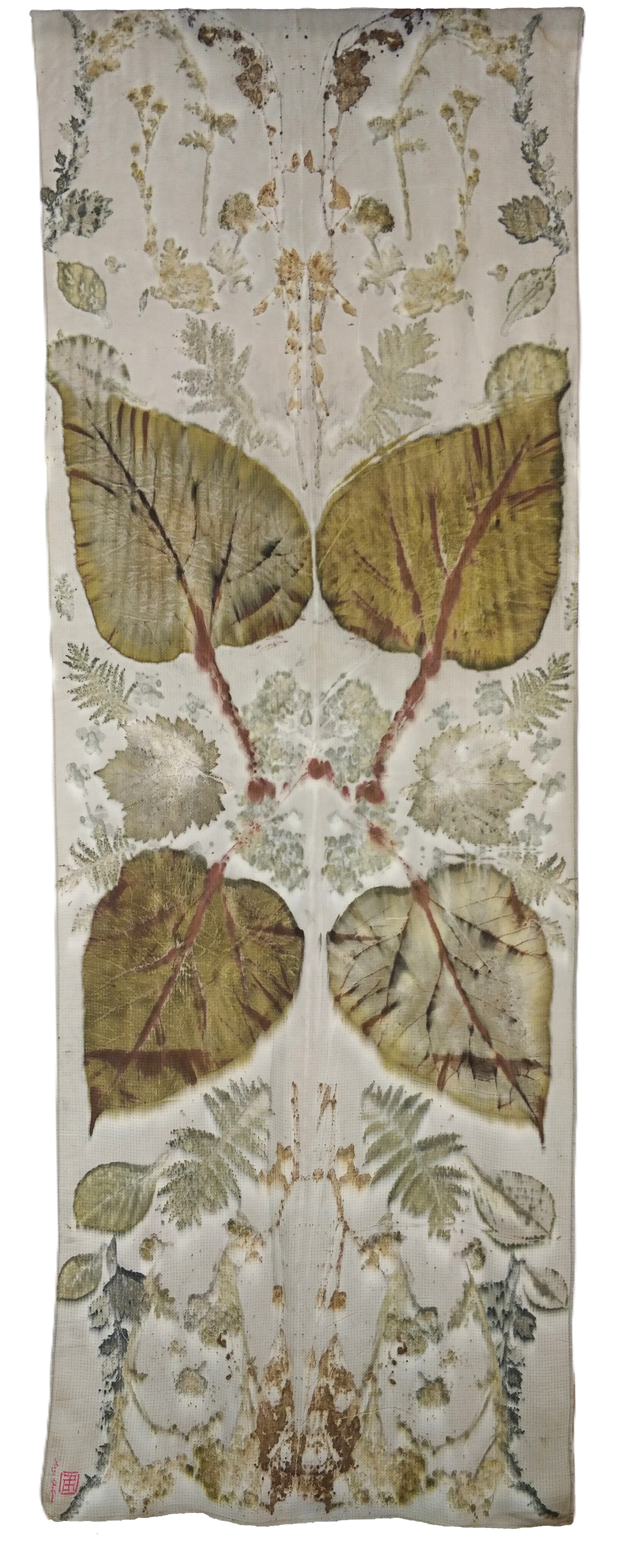 Catalpa