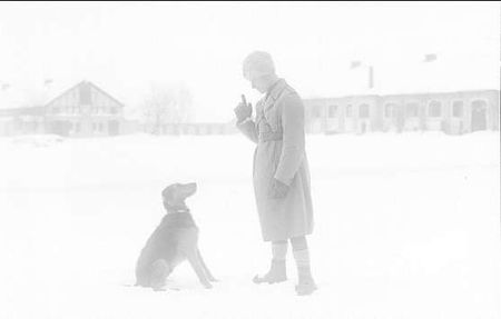 Stig Wilhelm Facht med hund