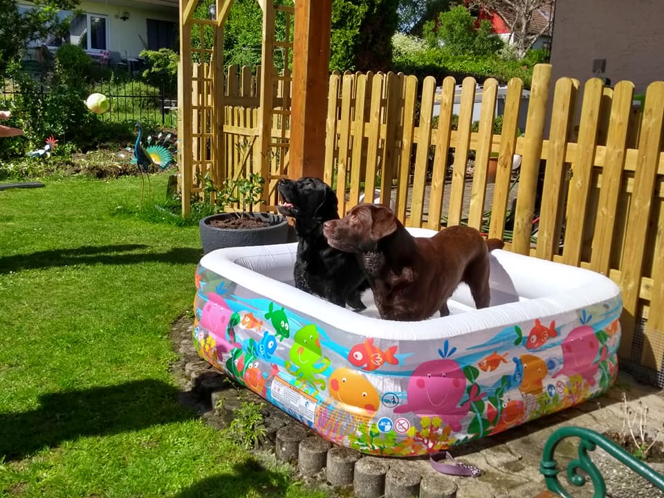 18. 61970915_2157118081003895_4274561502649778176_n