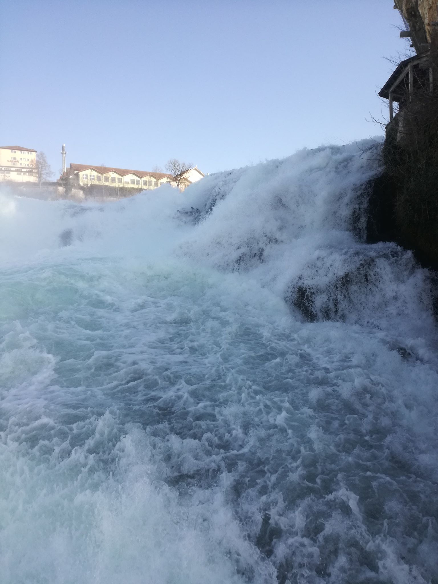 52412066_311017579602272_6720231054835187712_n