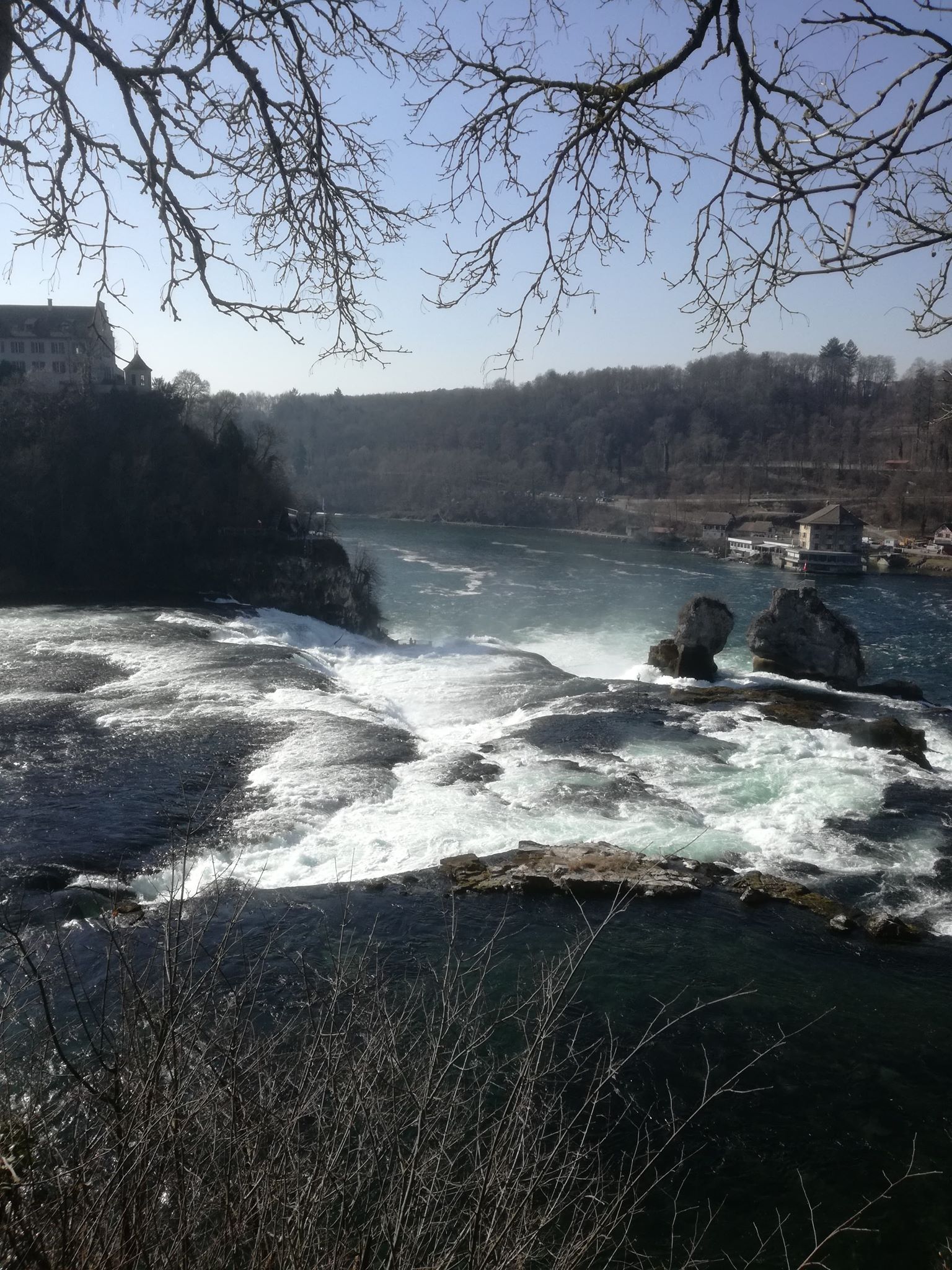 52801048_287748238585067_4064612510399987712_n