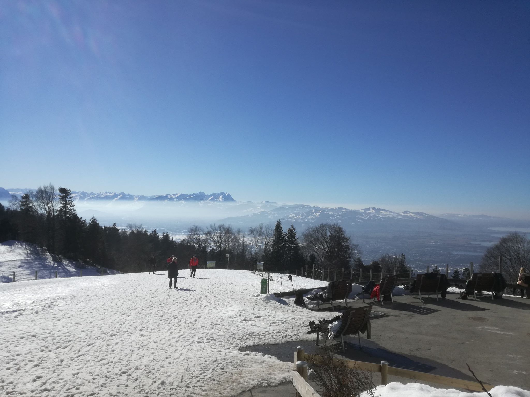 52998018_344629179485037_2786397717323055104_n