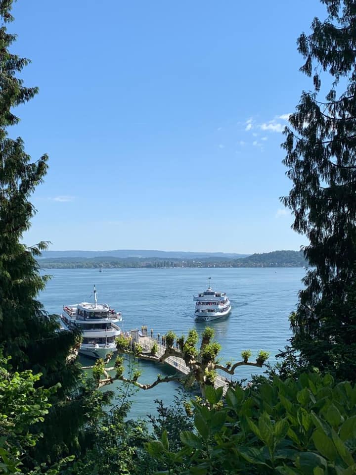 62222019_1477652715704881_2569472976630054912_n