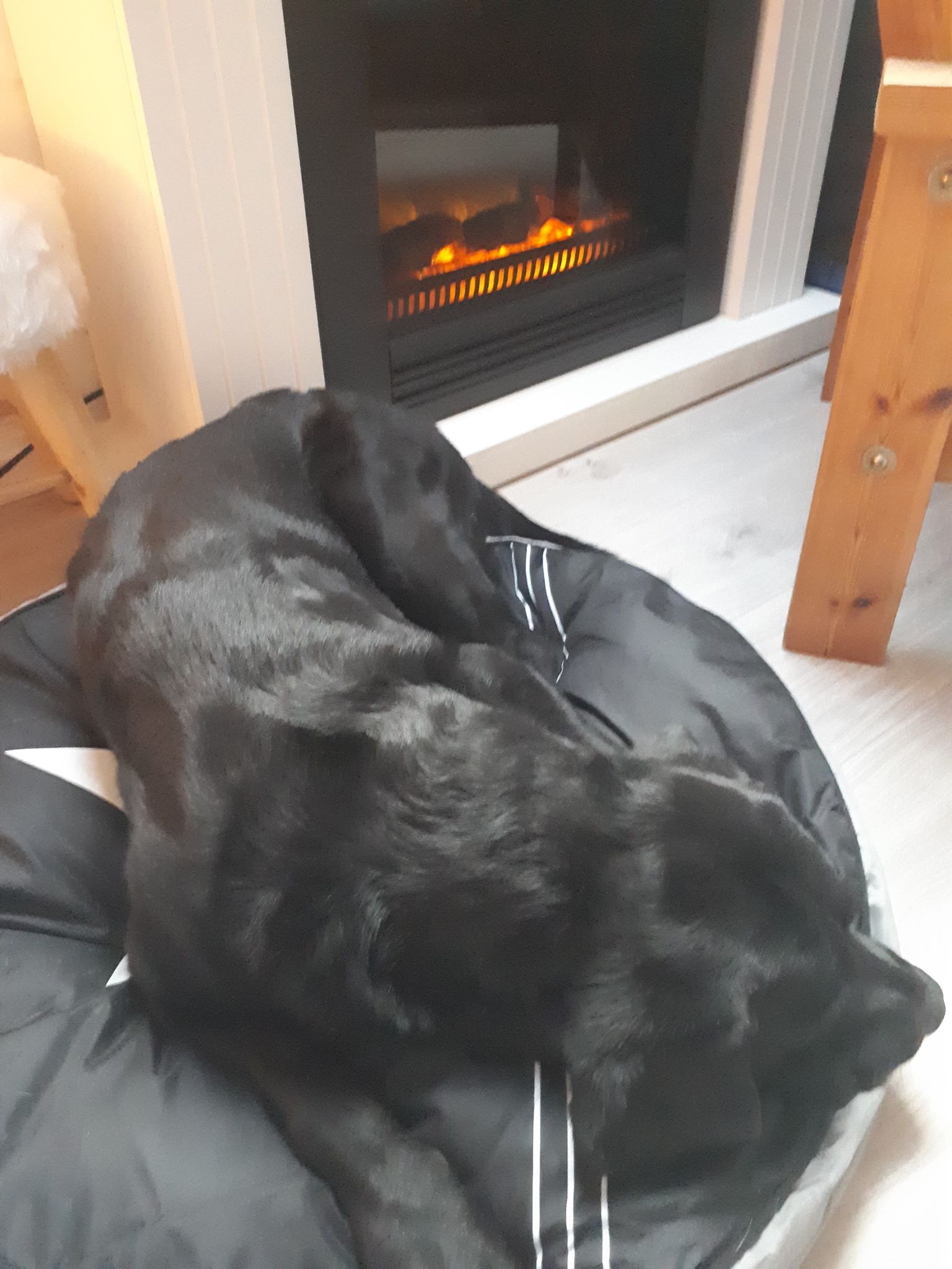 66278644_477177636190788_836913685166292992_n