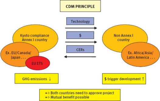 CDM Principle