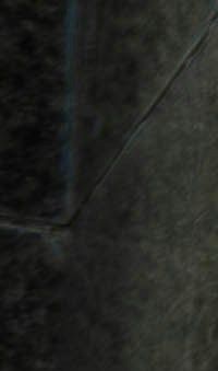 Mand psykoterapi