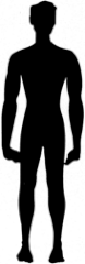 Figur 1