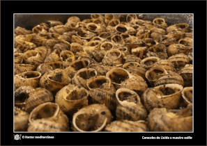 CARACOLES DE LLEIDA