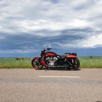 Harley Davidson Muscle gold scallops red candy marble 54