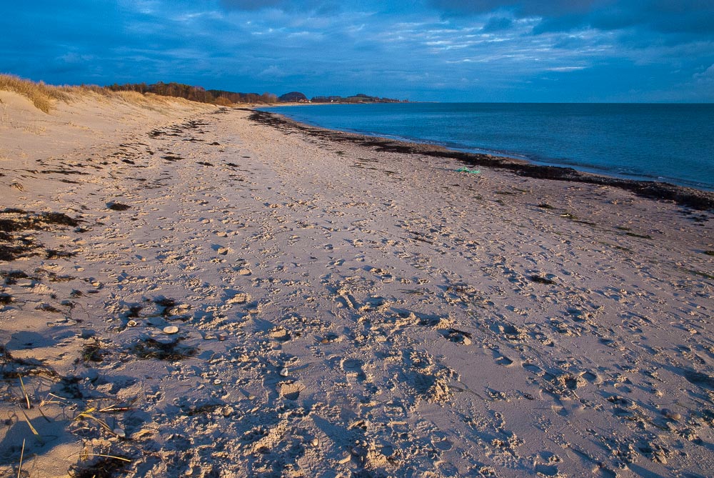 Havet III