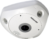 Fisheye Cameras