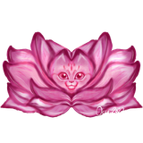Catflower