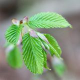 IMG_20250402_101204