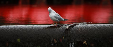 IMG_0660_HD