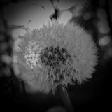 DSC01635