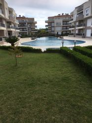 OP Garden2