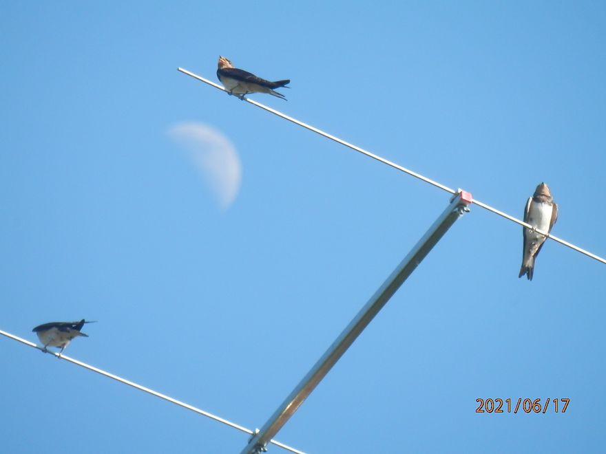 Gut dass meine Antenne da ist, die nächste Sitzgelegenheit  wäre sonst der Mond !