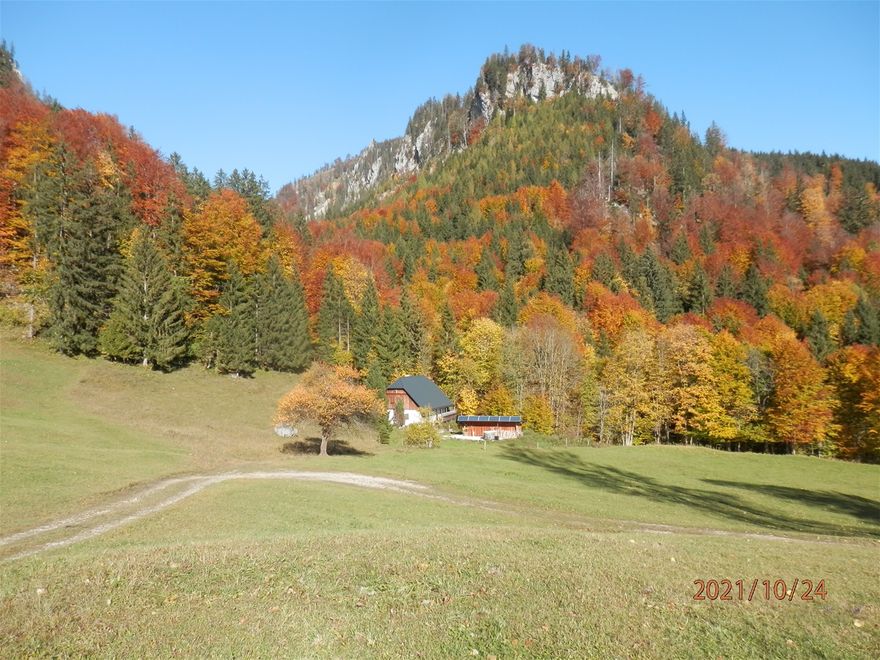 Die Saileralm. Im Hintergrund die 