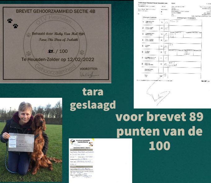 Tara geslaagd voor Brevet