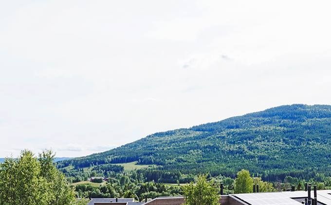 Økolandsby Hurdal Norway:  This new ecological vilage is operational in Norway now:       www.hurdalecovillage.no  (Startingdate: 27 mai 2012 - Sellingdate of the first 5 houses before they where built at the festival 8,9,10 august 2012).

Click on the following link, scroll down and download the above study: https://www.researchgate.net/profile/Wpah-De-Vries?ev=hdr_xprf.