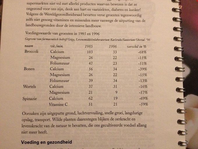 Voedingswaarden gewassen in 1985 en 1996.