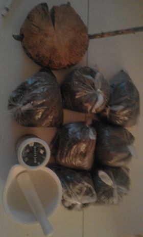(15-01-2020) Wat kan ik doen om mijn situatie te verbeteren? Medicijnen uit egen tuin: gedroogde brandnetels. Samen met natriumbicarbonaat, tea tree oil en calencula zalf heb ik alles in huis om nu mijn eigen situatie te verbeteren. 