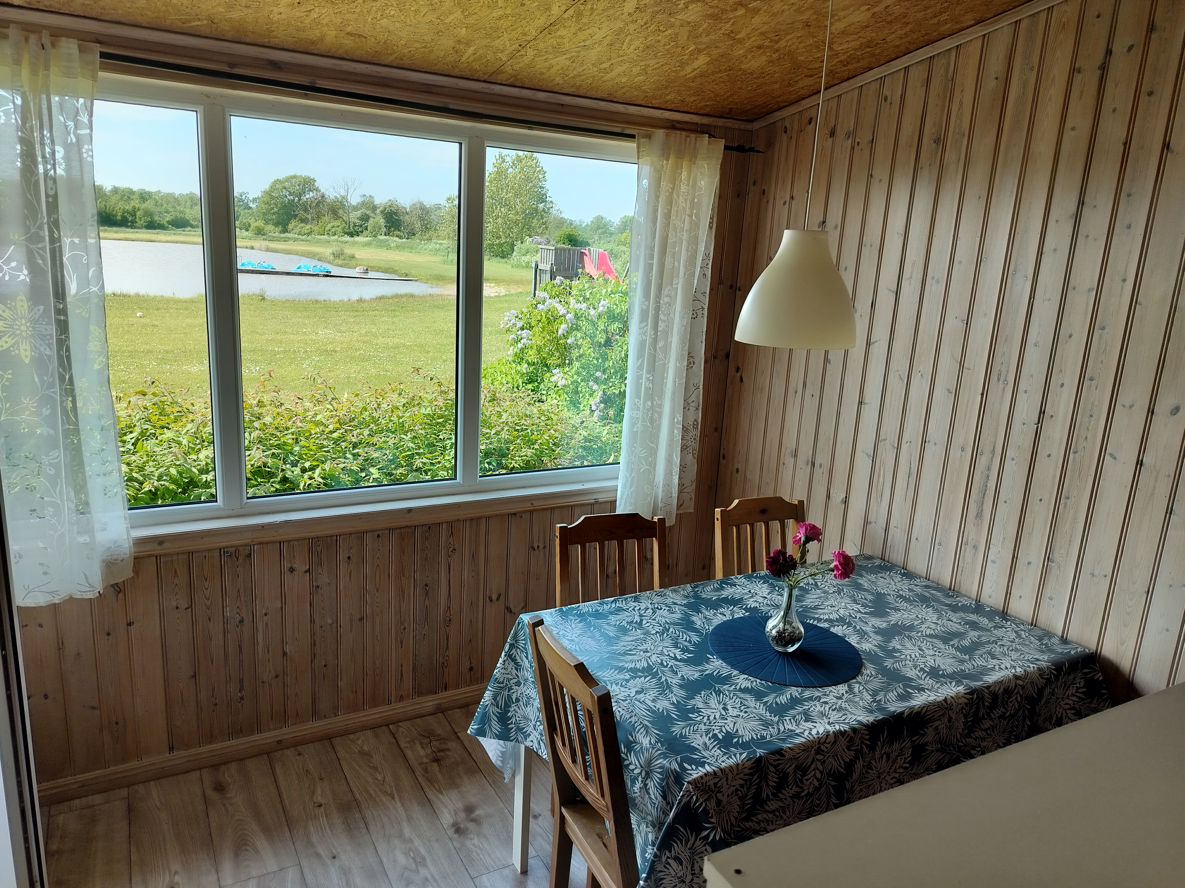 IMG20240526134548[4123]