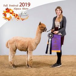 Davos Herbst 2019