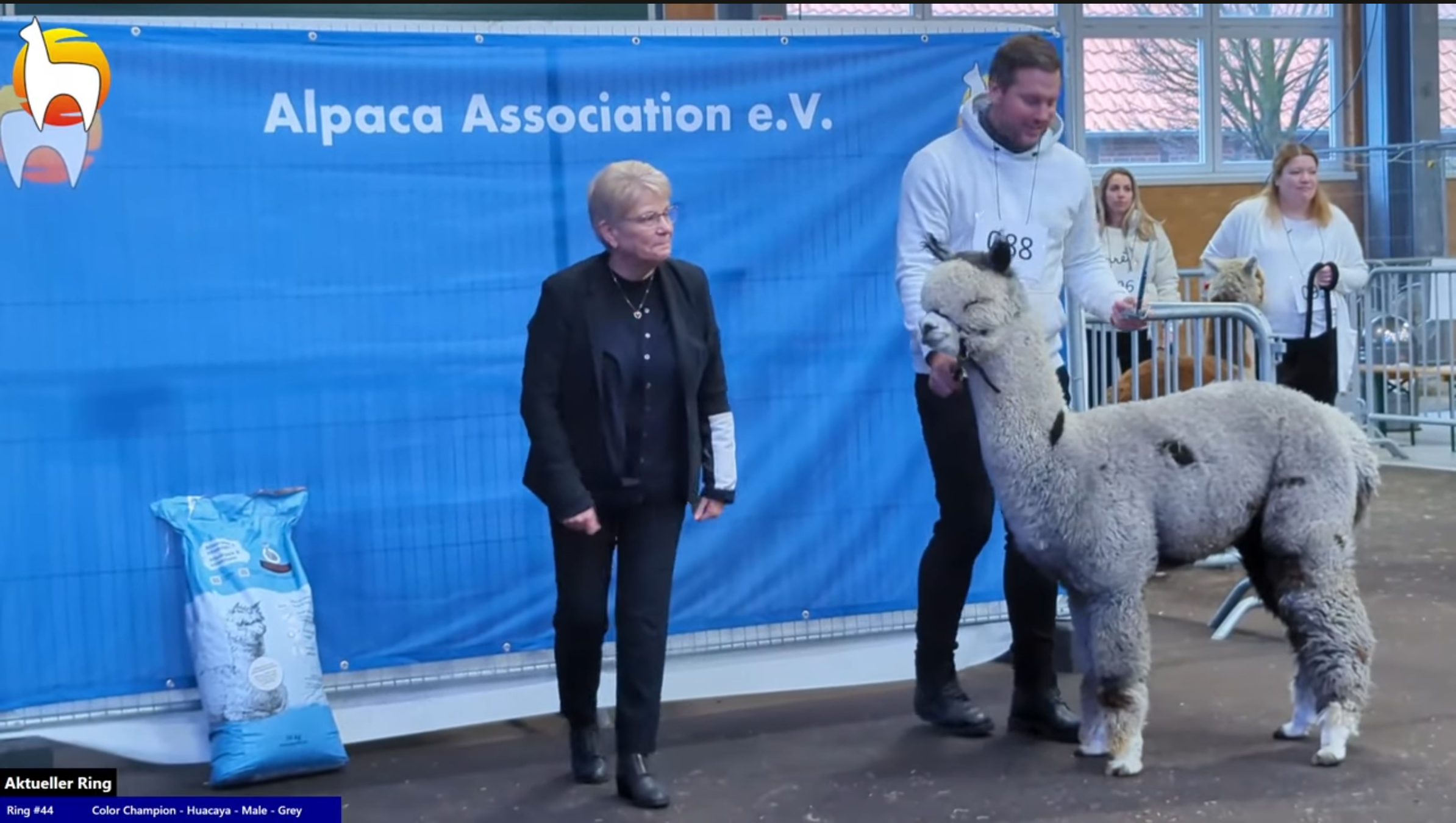 XX MADRICK Grey Phenomenon