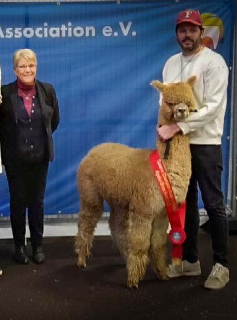 XX MADRICK Peruvian Night Casablanca