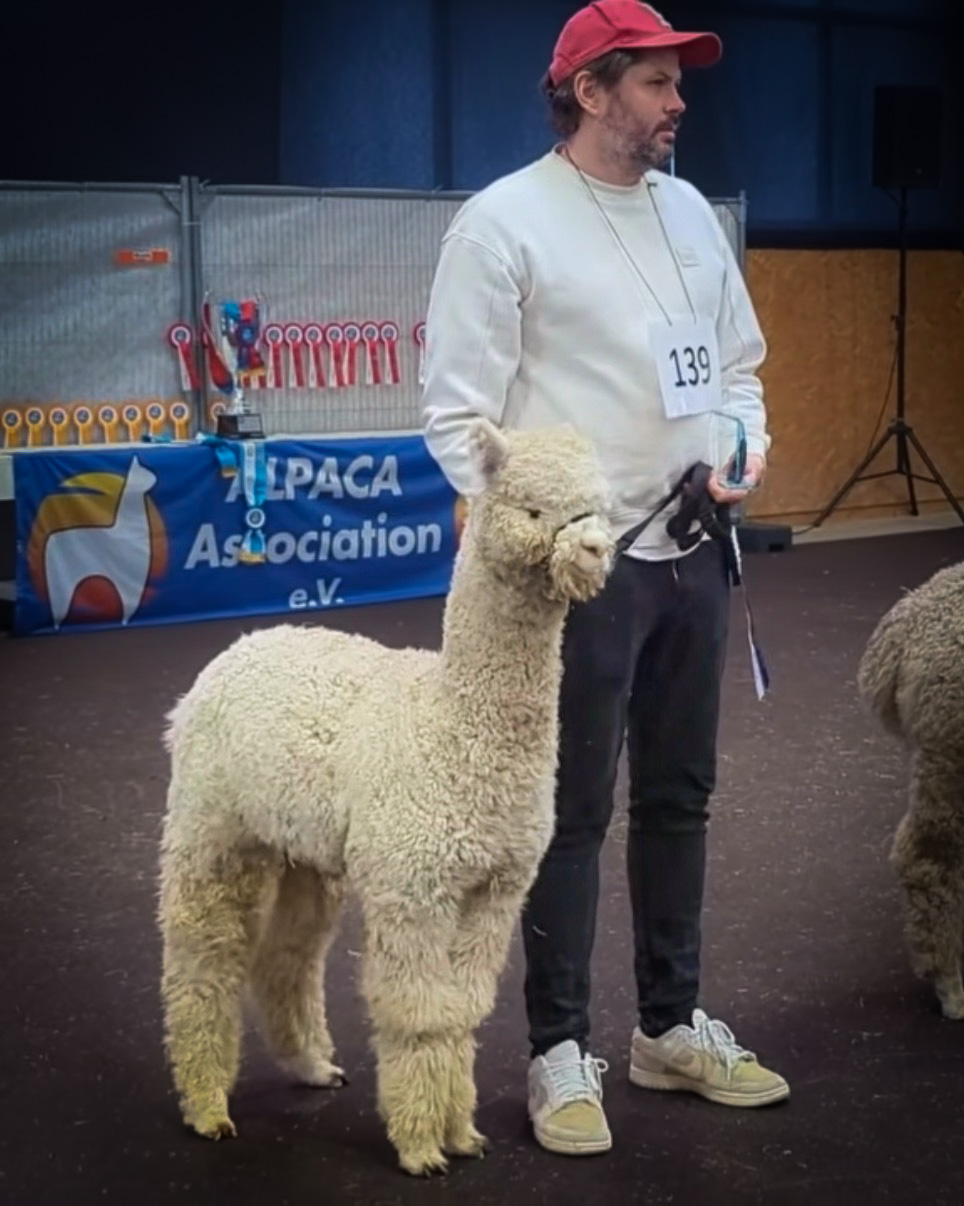 XX MADRICK Vanderbilt X