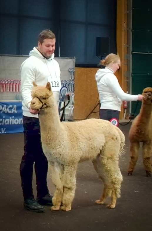 XX MADRICK Obi Wan d‘ Amour