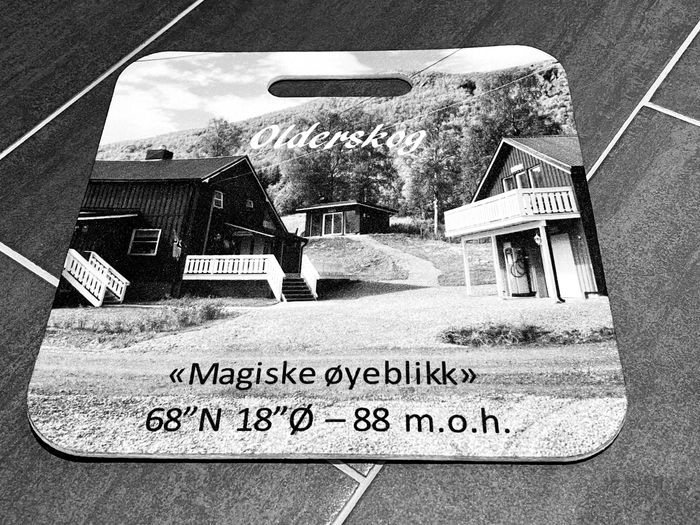 Olderskog sitteunderlag med trykk av Olderskog gård - trykk i farger