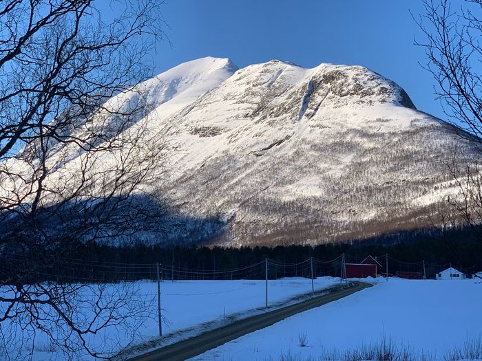 Fjellet 