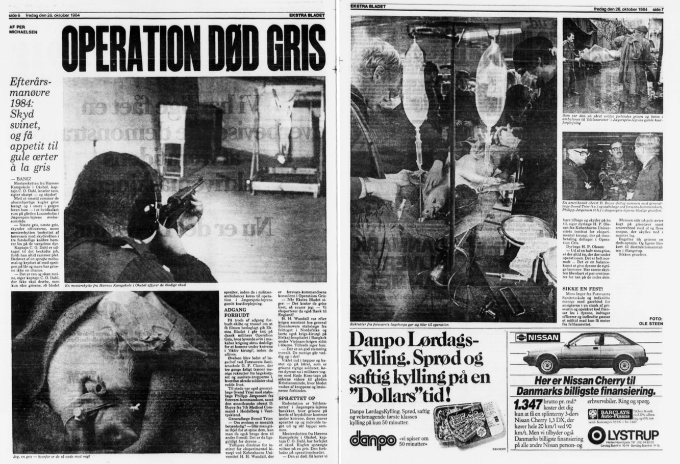 Operation dead pig in Jægerspris 1984 ... © Photo: Ole Steen / Scanpix