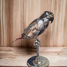 African Grey 